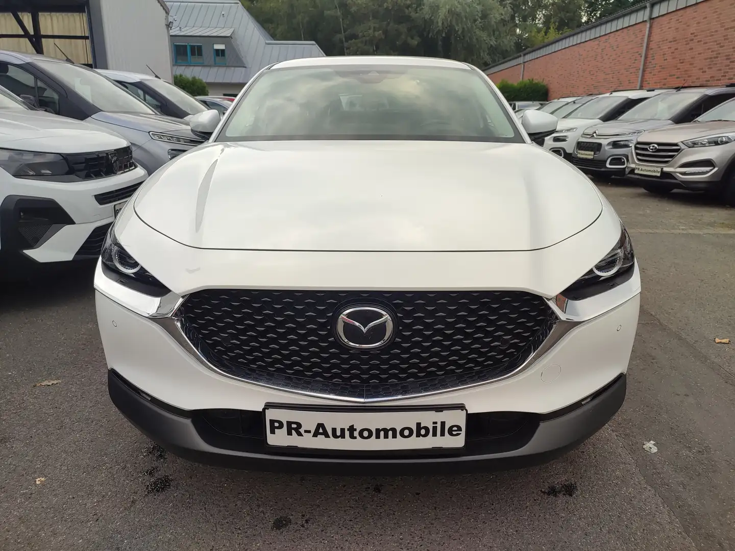 Mazda CX-30 2.0 Klimaaut/Navi+Cam/Sitzhzg/Alu18" Weiß - 2