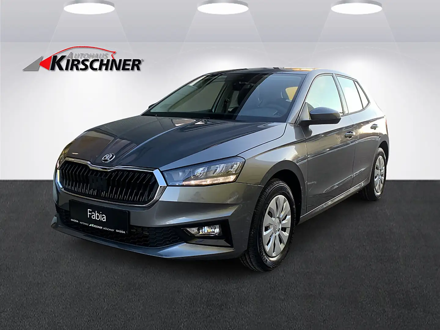 Skoda Fabia Essence 1,0 Grau - 1