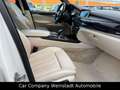 BMW X5 M50 d Weiß - thumbnail 12