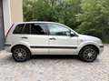 Ford Fusion Ecosport 1,4 16V *Pickerl 03/27+4*AHK* Grau - thumbnail 5
