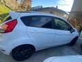 Ford Fiesta Fiesta VI 2013 5p 1.5 tdci Black Bianco - thumbnail 3