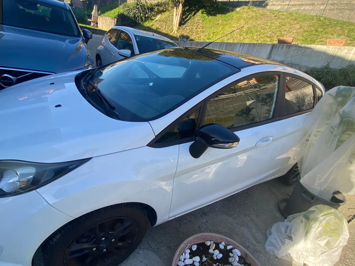 Ford Fiesta Fiesta VI 2013 5p 1.5 tdci Black Bianco - 1