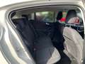 Ford Focus 1.5 EcoBoost Active EU6d-T/R.Kamera/ Білий - thumbnail 18