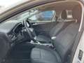 Ford Focus 1.5 EcoBoost Active EU6d-T/R.Kamera/ Білий - thumbnail 11