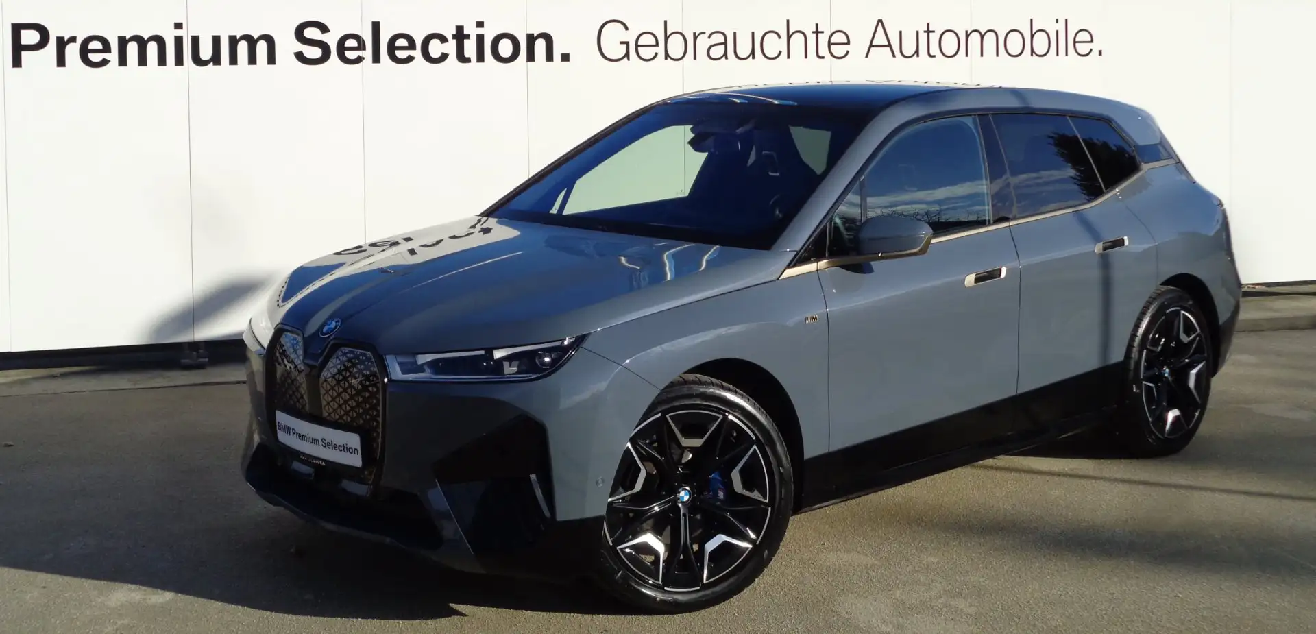 BMW iX iX M60 Grau - 1