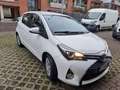 Toyota Yaris Yaris III 2015 5p 1.0 Active Bianco - thumbnail 13
