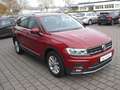 Volkswagen Tiguan Highline 2.0TDI DSG LED NAVI PDC Sitzhzg. - thumbnail 3