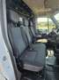 Opel Movano B Kasten/Kombi HKa L2H2 3,5t Blanc - thumbnail 5