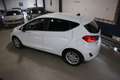 Ford Fiesta 1.0 NAP + 1e EIG + 12 MND GARANTIE + NIEUW MODEL + Weiß - thumbnail 19