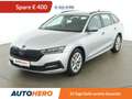 Skoda Octavia 2.0 TDI Ambition 4x4 Gris - thumbnail 1
