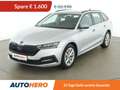 Skoda Octavia 2.0 TDI Ambition 4x4 Grau - thumbnail 1