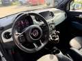 Fiat 500 FireFly Hybrid 70 Grün - thumbnail 12