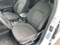 Ford Focus 1.0 EcoBoost Mild-Hybrid, ST-Line AHK, Navi, Sitzh Wit - thumbnail 11