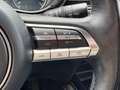 Mazda CX-30 2.0 e SKY-ACTIV AUT. HYBRID LEER NAVI TREKHAAK CAM Zwart - thumbnail 12
