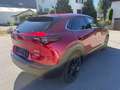 Mazda CX-30 G140 Homura Automatik 8-fach Alu Rot - thumbnail 3