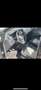SEAT Ibiza 1.2 TDI CR Ecomotive Reference - thumbnail 8
