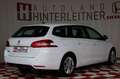 Peugeot 308 SW BlueHDI NAVI AHV KAMERA ZAHNRIEMEN NEU Blanco - thumbnail 2