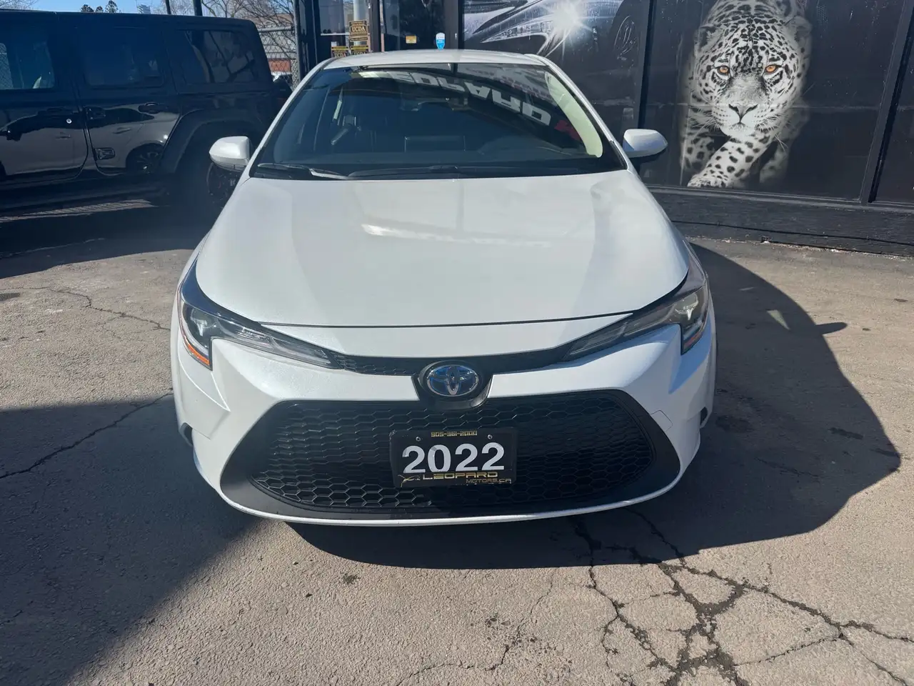 Toyota Corolla снимка Toyota Corolla