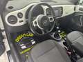 Volkswagen Maggiolino Maggiolino 1.6 TDI Design Wit - thumbnail 11