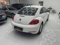 Volkswagen Maggiolino Maggiolino 1.6 TDI Design Wit - thumbnail 6