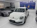 Volkswagen Maggiolino Maggiolino 1.6 TDI Design Wit - thumbnail 3
