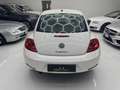 Volkswagen Maggiolino Maggiolino 1.6 TDI Design Wit - thumbnail 5