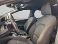 Ford Focus 1.0 ecoboost h ST-Line Design 125cv Grigio - thumbnail 10