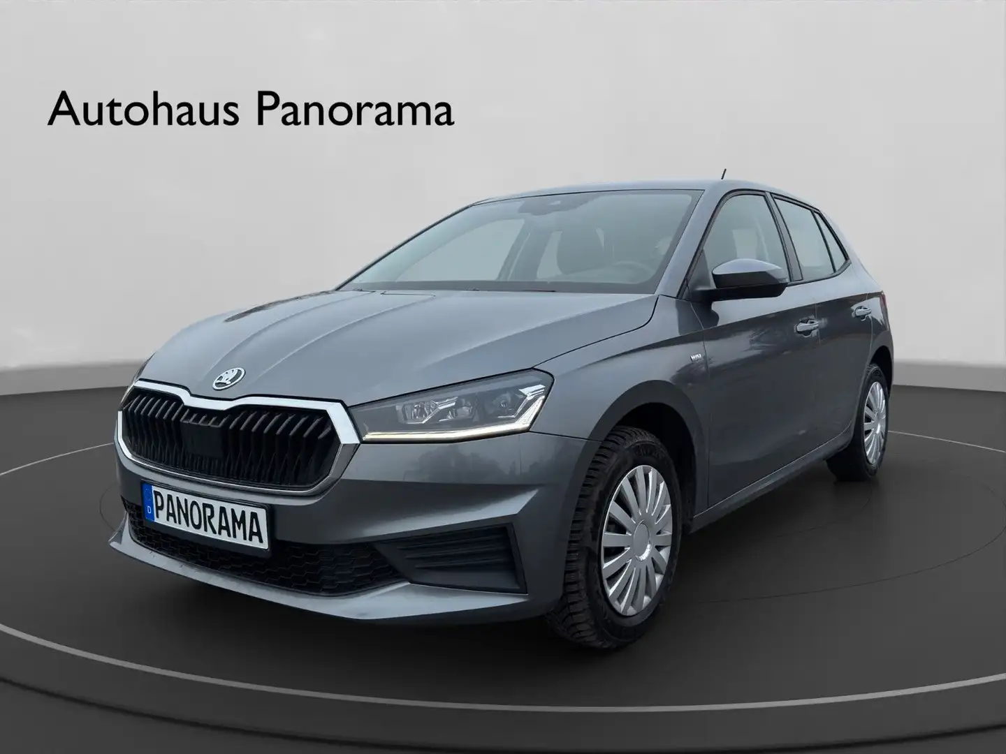 Skoda Fabia Tour Navi/LED/Kamera/1. Hand Grau - 1