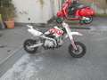 LEM Pitbike RF 90cc PITBIKE Kid 90CC Viky Italy 4T - Pro Edition Style Blanco - thumbnail 3