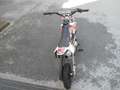 LEM Pitbike RF 90cc PITBIKE Kid 90CC Viky Italy 4T - Pro Edition Style Blanco - thumbnail 9
