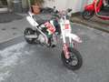 LEM Pitbike RF 90cc PITBIKE Kid 90CC Viky Italy 4T - Pro Edition Style Blanc - thumbnail 6