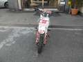 LEM Pitbike RF 90cc PITBIKE Kid 90CC Viky Italy 4T - Pro Edition Style Blanc - thumbnail 1
