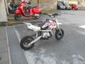 LEM Pitbike RF 90cc PITBIKE Kid 90CC Viky Italy 4T - Pro Edition Style Blanc - thumbnail 8