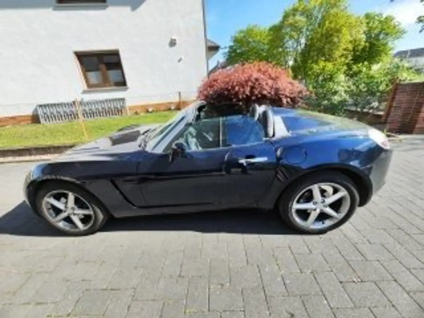 Opel GT GT Azul - 2