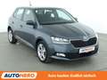 Skoda Fabia 1.0 MPI Cool Plus*PDC*SHZ*KLIMA* Grau - thumbnail 8