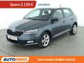 Skoda Fabia 1.0 MPI Cool Plus*PDC*SHZ*KLIMA* Grau - thumbnail 1