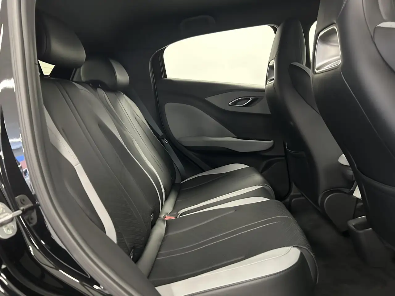 BYD DOLPHIN SURF