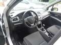 Suzuki SX4 S-Cross S-Cross 1.6 ddis Style 2wd Bianco - thumbnail 12