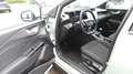 Ford Puma 1,0 EcoBoost Hybrid Titanium Grau - thumbnail 10