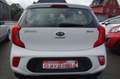 Kia Picanto Edition 7 Weiß - thumbnail 7