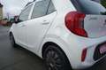 Kia Picanto Edition 7 Weiß - thumbnail 9