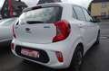 Kia Picanto Edition 7 Weiß - thumbnail 5