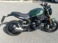Benelli Leoncino 800 Vert - thumbnail 4