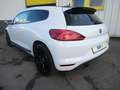 Volkswagen Scirocco DACH und ALU schwarz TEILLEDER SHZG TEM Blanco - thumbnail 7