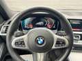 BMW 318 318d Sport Line mit Glasdach Gris - thumbnail 28