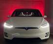 Tesla Model X Model X P100D Performance Ludicrus+  Raven Bianco - thumbnail 1