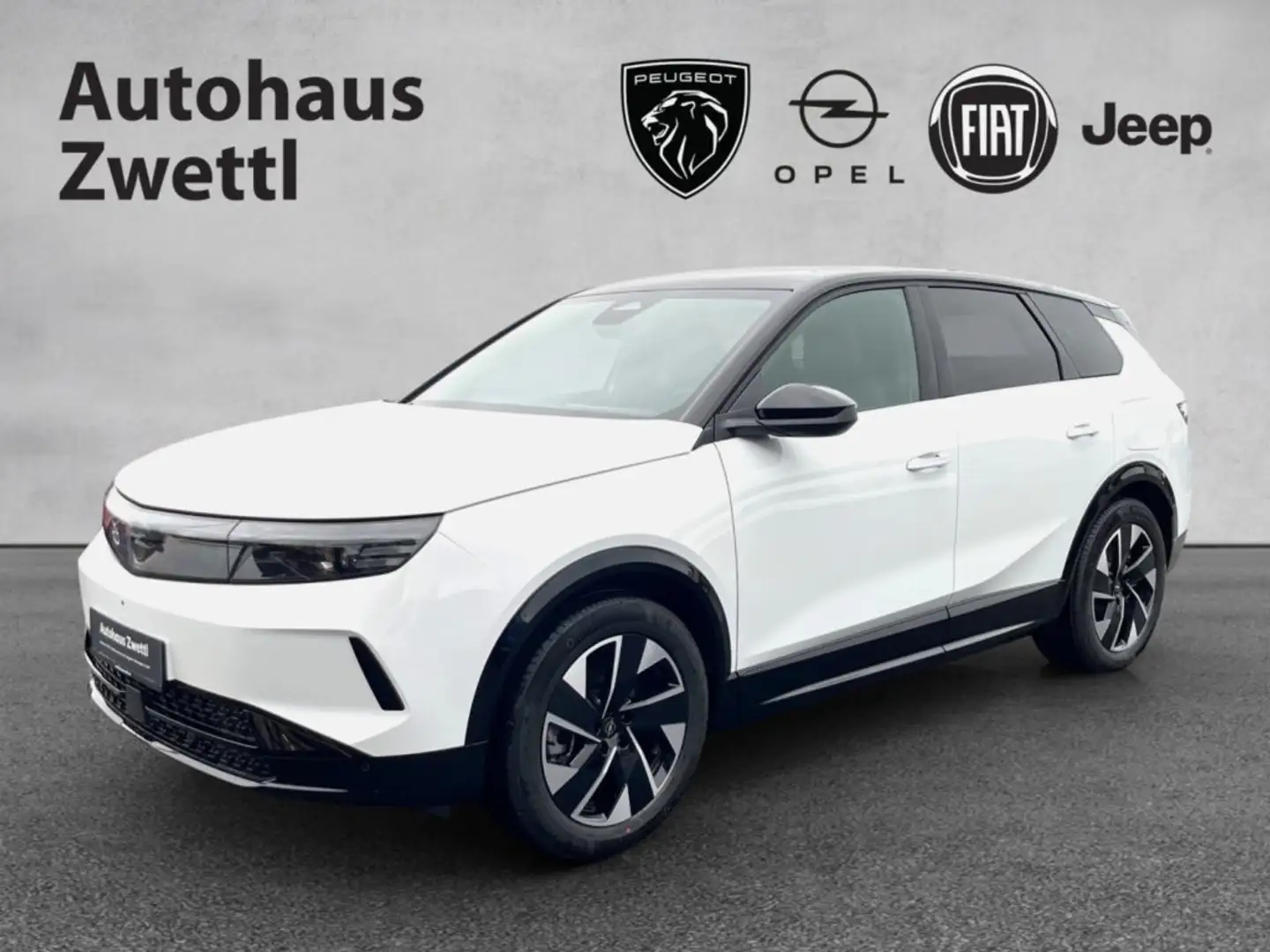 Opel Grandland -e GS Elektro 213 PS 82 KWh Weiß - 1
