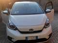 Honda Jazz Jazz IV 2021 1.5 hev Executive ecvt Bianco - thumbnail 1