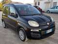 Fiat Panda Panda III 2012 1.2 easypower Lounge Gpl 69cv Negro - thumbnail 17