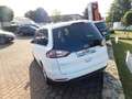 Ford Galaxy GALAXY 1:5 ECOBOOST BUSINESS NAVI 7-S WINTER P-ASS Weiß - thumbnail 4